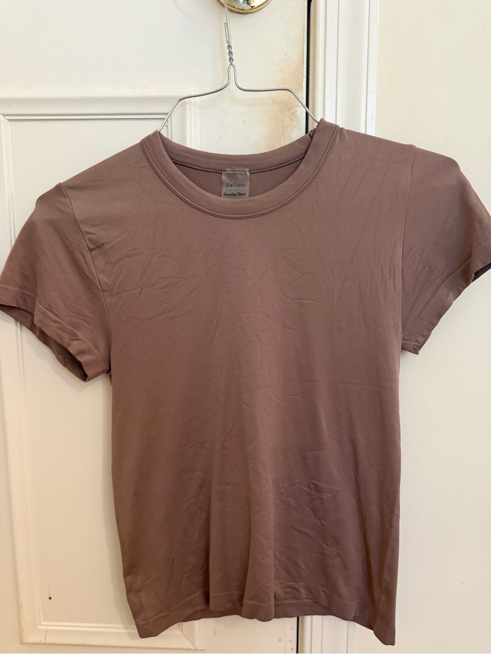 Aritzia Willow SinchSeamless Short Sleeve Crew Tee in Mauve Taupe